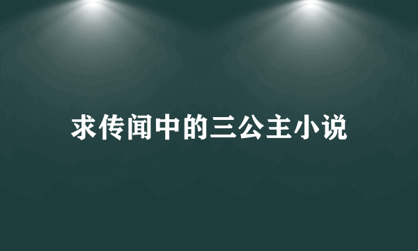 求传闻中的三公主小说