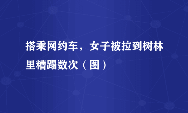 搭乘网约车，女子被拉到树林里糟蹋数次（图）