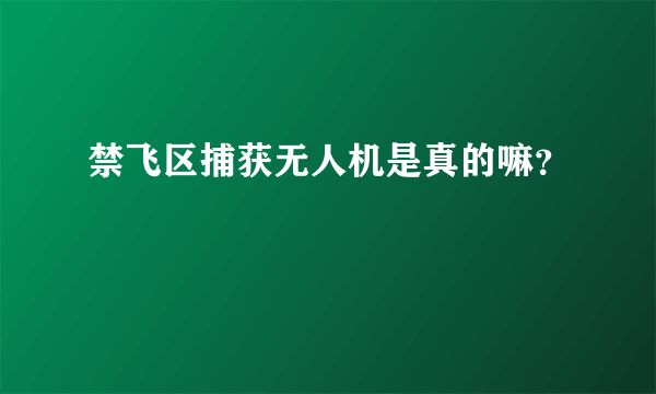 禁飞区捕获无人机是真的嘛？