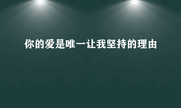 你的爱是唯一让我坚持的理由