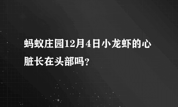 蚂蚁庄园12月4日小龙虾的心脏长在头部吗？