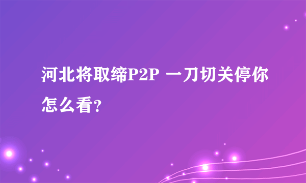 河北将取缔P2P 一刀切关停你怎么看？