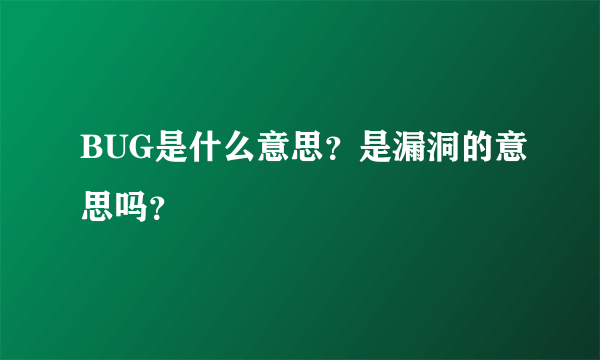 BUG是什么意思？是漏洞的意思吗？