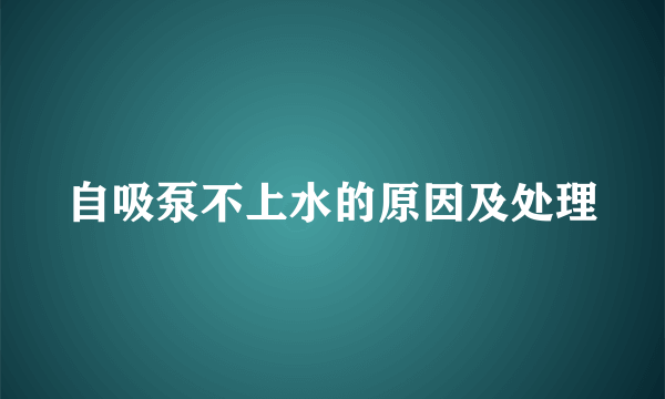 自吸泵不上水的原因及处理