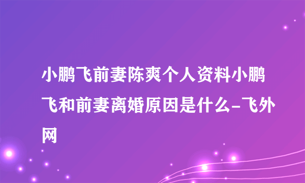 小鹏飞前妻陈爽个人资料小鹏飞和前妻离婚原因是什么-飞外网