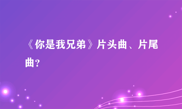 《你是我兄弟》片头曲、片尾曲？