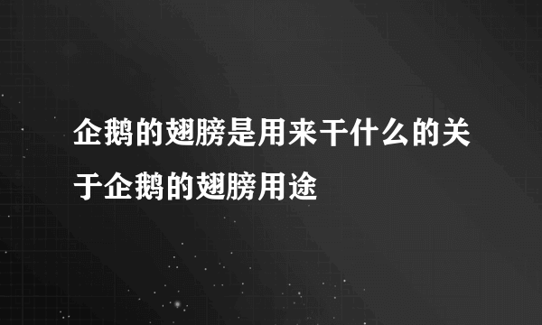 企鹅的翅膀是用来干什么的关于企鹅的翅膀用途