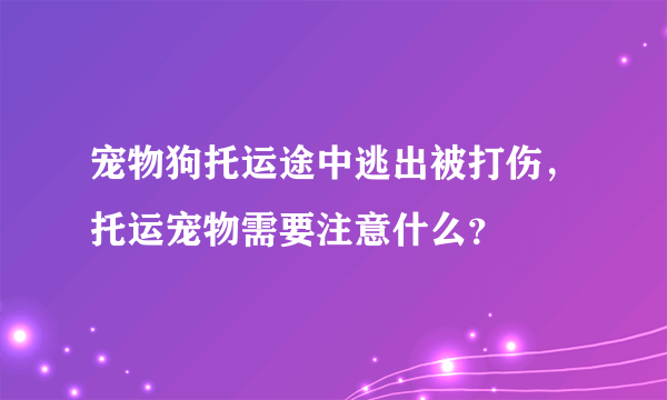 宠物狗托运途中逃出被打伤，托运宠物需要注意什么？