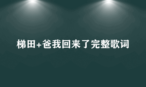 梯田+爸我回来了完整歌词