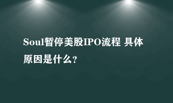 Soul暂停美股IPO流程 具体原因是什么？