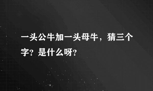 一头公牛加一头母牛，猜三个字？是什么呀？