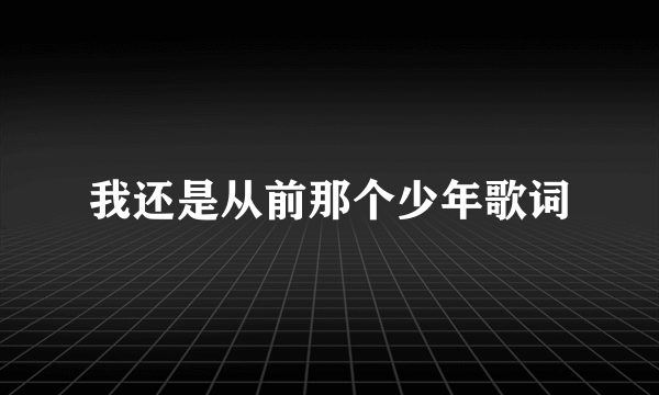 我还是从前那个少年歌词