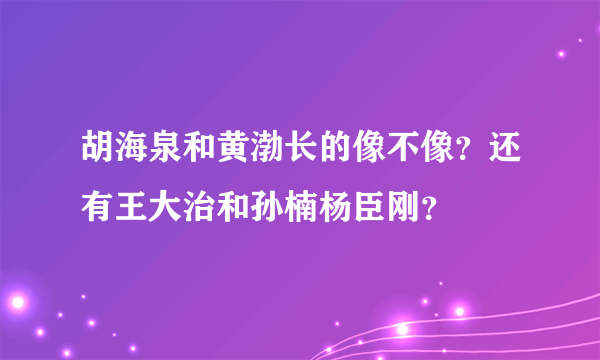 胡海泉和黄渤长的像不像？还有王大治和孙楠杨臣刚？