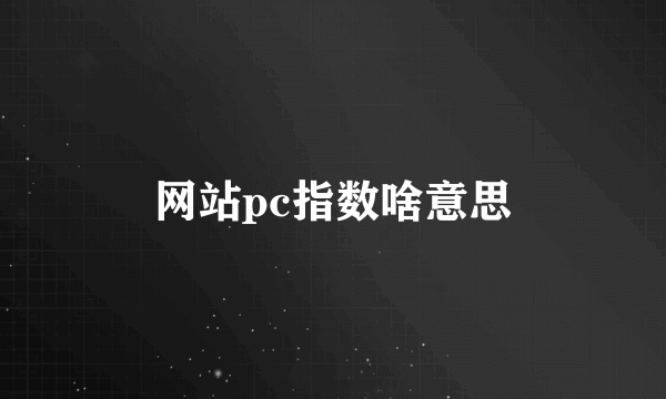 网站pc指数啥意思