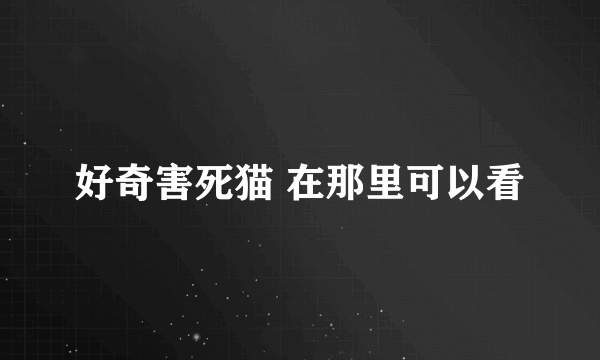 好奇害死猫 在那里可以看