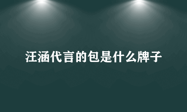 汪涵代言的包是什么牌子