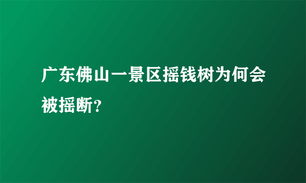 广东佛山一景区摇钱树为何会被摇断？