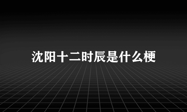 沈阳十二时辰是什么梗