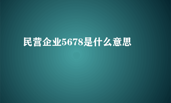 民营企业5678是什么意思