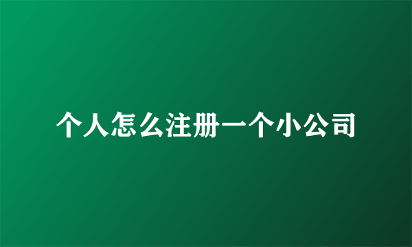 个人怎么注册一个小公司