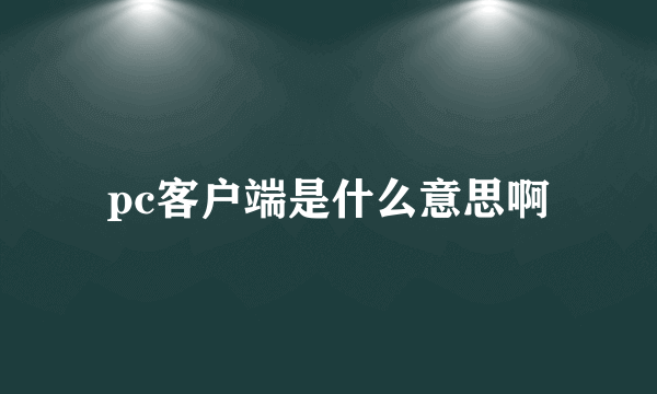 pc客户端是什么意思啊