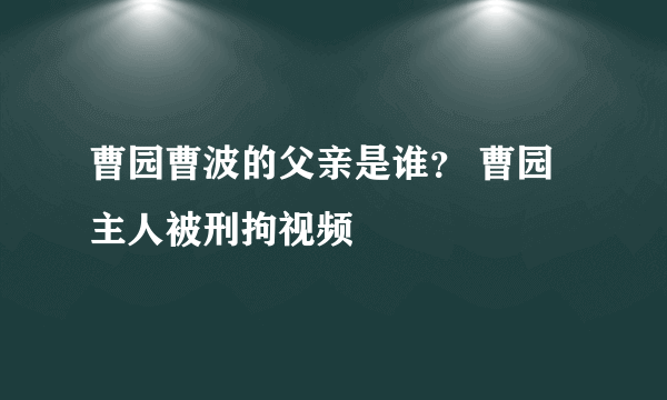 曹园曹波的父亲是谁？ 曹园主人被刑拘视频