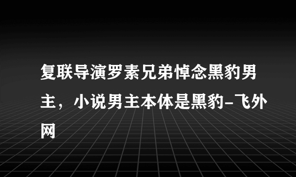 复联导演罗素兄弟悼念黑豹男主，小说男主本体是黑豹-飞外网