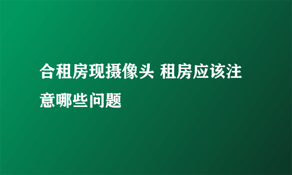 合租房现摄像头 租房应该注意哪些问题