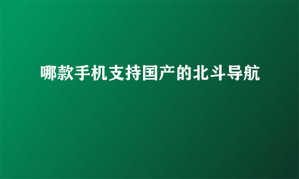 哪款手机支持国产的北斗导航