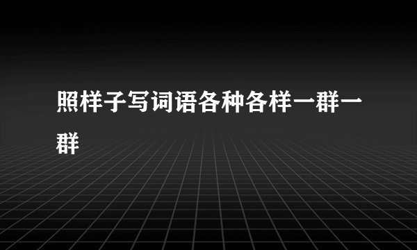 照样子写词语各种各样一群一群