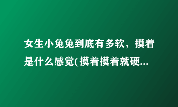 女生小兔兔到底有多软，摸着是什么感觉(摸着摸着就硬了)_飞外