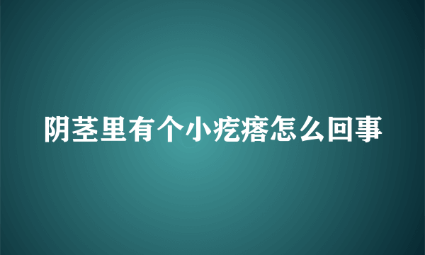 阴茎里有个小疙瘩怎么回事