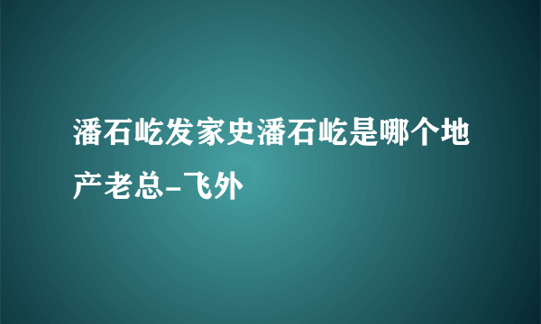 潘石屹发家史潘石屹是哪个地产老总-飞外