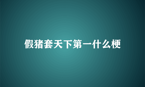 假猪套天下第一什么梗