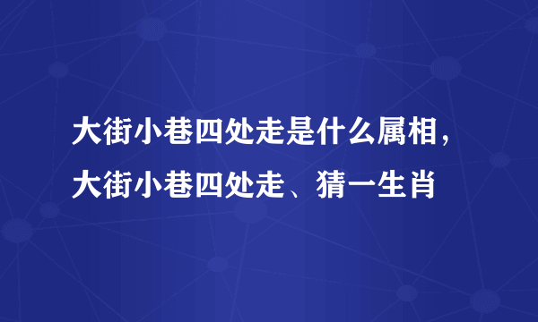 大街小巷四处走是什么属相，大街小巷四处走、猜一生肖