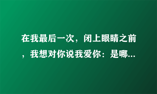 在我最后一次，闭上眼睛之前，我想对你说我爱你：是哪首歌的歌词