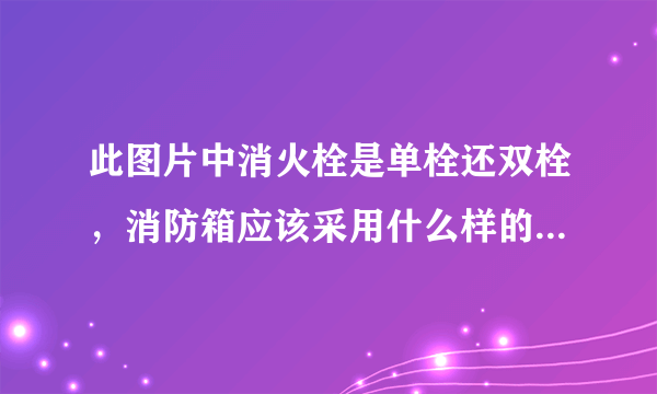 此图片中消火栓是单栓还双栓，消防箱应该采用什么样的，急求，谢谢