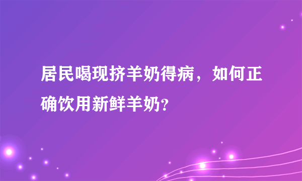 居民喝现挤羊奶得病，如何正确饮用新鲜羊奶？