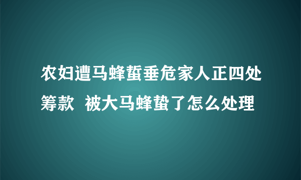 农妇遭马蜂蜇垂危家人正四处筹款  被大马蜂蛰了怎么处理