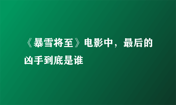 《暴雪将至》电影中，最后的凶手到底是谁