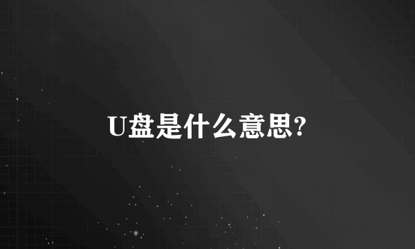 U盘是什么意思?