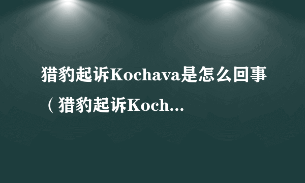 猎豹起诉Kochava是怎么回事（猎豹起诉Kochava事件详情一览）