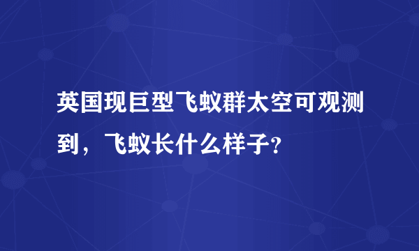 英国现巨型飞蚁群太空可观测到，飞蚁长什么样子？