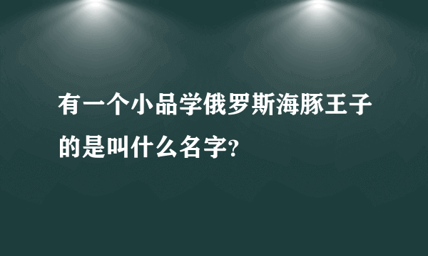 有一个小品学俄罗斯海豚王子的是叫什么名字？