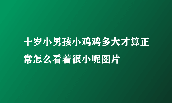 十岁小男孩小鸡鸡多大才算正常怎么看着很小呢图片