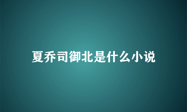 夏乔司御北是什么小说