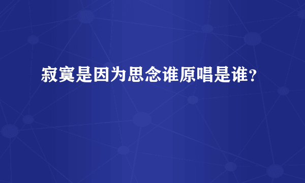 寂寞是因为思念谁原唱是谁？