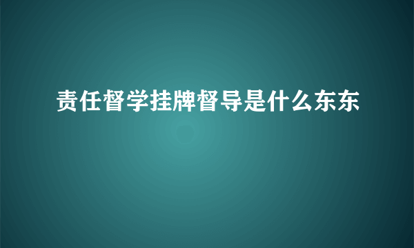 责任督学挂牌督导是什么东东