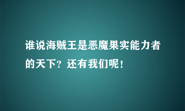 谁说海贼王是恶魔果实能力者的天下？还有我们呢！