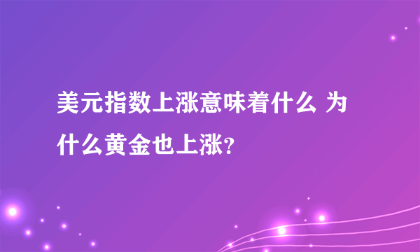 美元指数上涨意味着什么 为什么黄金也上涨？